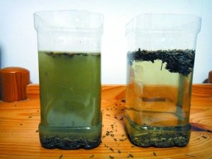 北京现低价孜然 被曝掺疑似“鸡饲料”