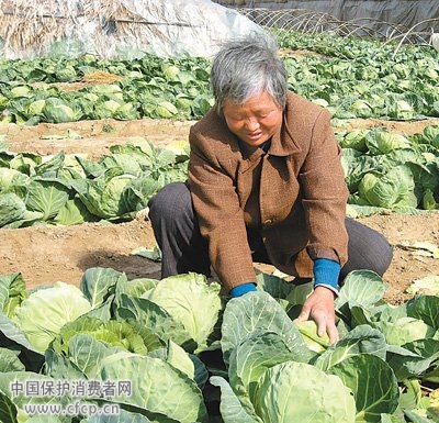 蔬菜流通环节层层加价 零售价超供应价10倍