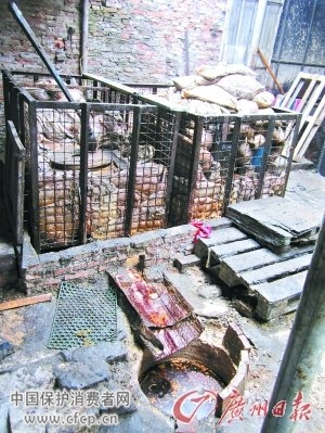 东莞作坊用化粪池水熬地沟油 残渣现卫生巾(图)