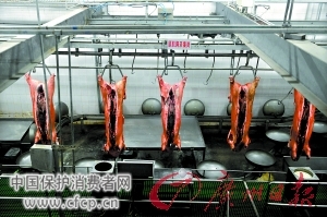 瘦肉精揭秘：高利润作怪一头能多卖四五十元