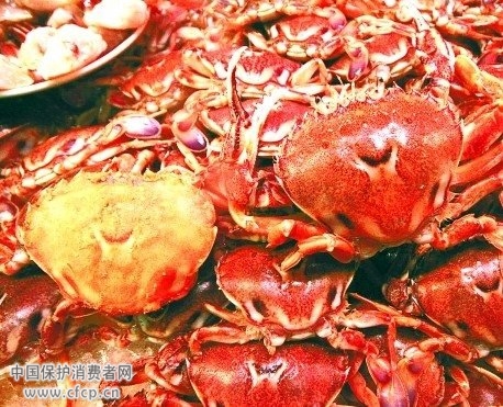 水产商：肯德基黄金蟹斗偷工减料 价格很便宜
