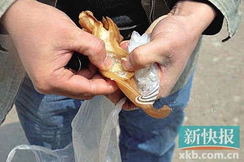 江西赣州发现人造猪耳 疑用明胶和塑料做成