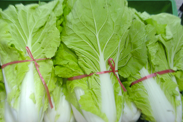 白菜被曝用甲醛浸泡（资料图）