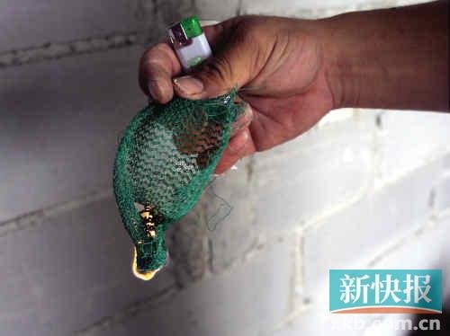 工地安全网九成为劣质 国标产品仅用于送检