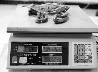   梭子蟹（公）与绳子总重0.3公斤